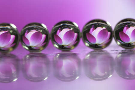 Abstract oil paint brush, Close up dew droplets on a blade of grass and violet flower reflectingの写真素材