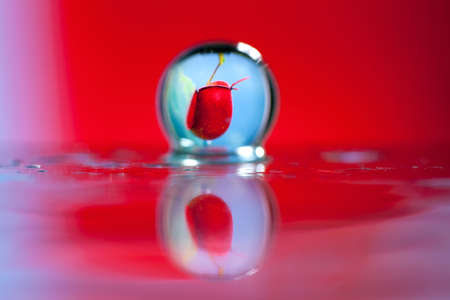 Abstract oil paint brush, Close up dew droplets on a blade of grass and red flower reflecting