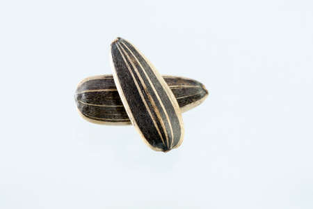 sunflower seeds pile against white backgroundの写真素材