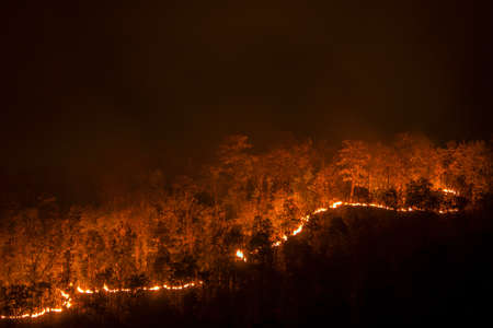 Wildfire line on hill at night, red flowers destroy everythingの写真素材