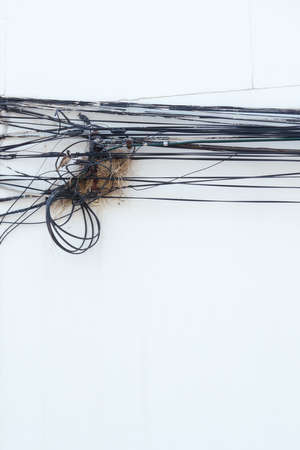 Bird trying to build a nest near electricity wire - Electricity safety in the building conceptの写真素材