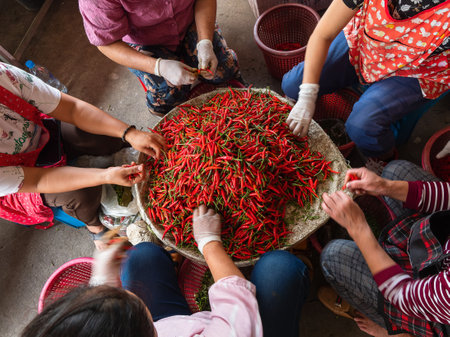 Red hot chili peppersの写真素材