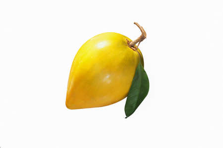 Egg fruit, Canistel, Yellow Sapote isolated over white background.の写真素材