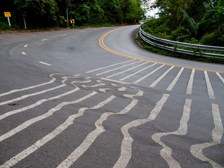 The gray road with a marking in the summer in the afternoonの写真素材