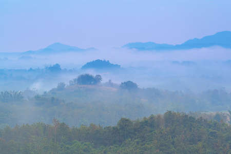 Mountain landscape in winter. forest and fog. Cloudy day.