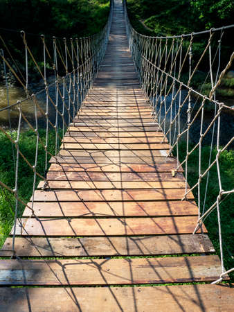 Climbing rope in jungle forest with perspective view.の写真素材