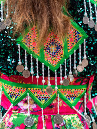 Hmong ethnic pattern. painted in traditional Hmong pattern. Figure tribal embroidery.