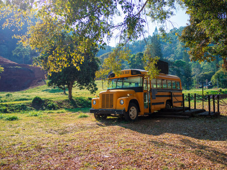view of classic tradtional yellow school busの写真素材