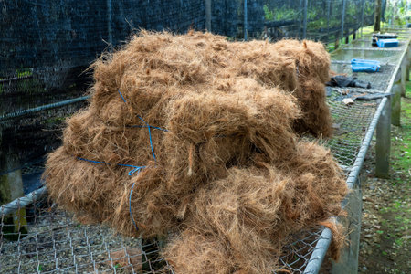 Coconut coir, is use for garden soil, for orchid transplantationの写真素材