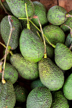 Fresh avocado on rustic wooden table