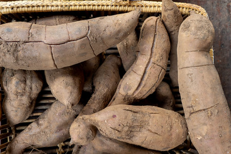 smallanthus sonchifolius (yacon),snow lotus  on basketの写真素材
