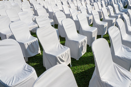 Transparent stylish  chairsの写真素材