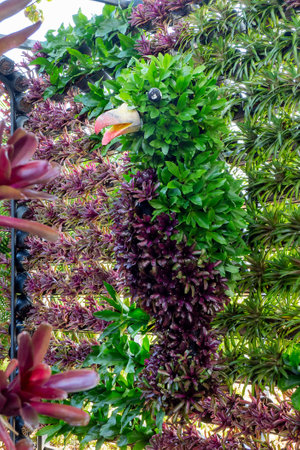 Flower plant wall Vertical garden with tropical green leaf and flowers. Nature background