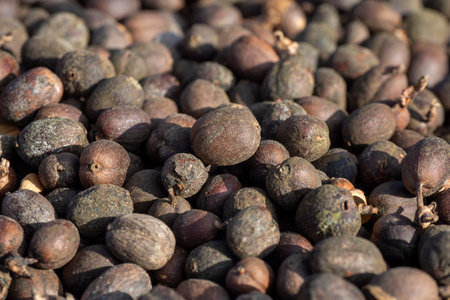 dried robusta coffee beans were poured from the basket