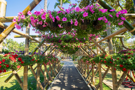 Beautiful pink flower covered archway over garden pathの写真素材