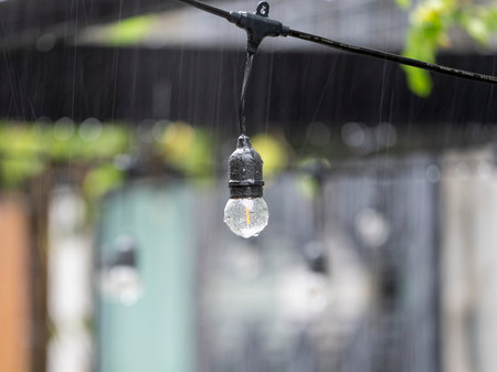 Unpluged garland of incandescent bulbs feit electric weatherproof indoor outdoor string lightsの写真素材