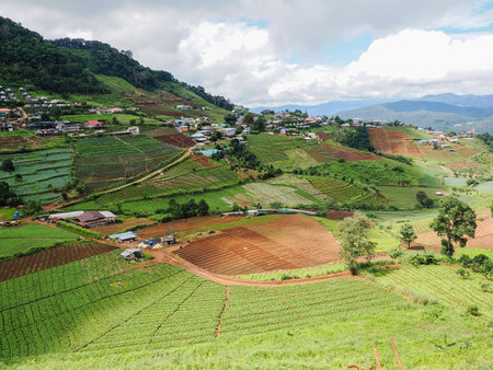 Beautiful landscape view of rice terrace and small house