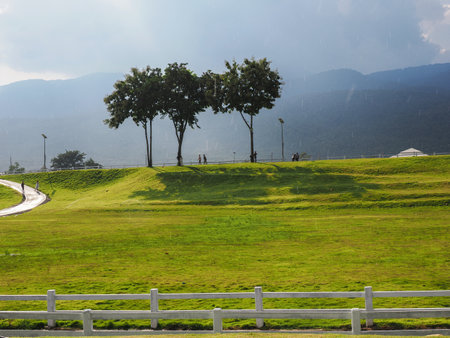 Green field and  3  treesの写真素材