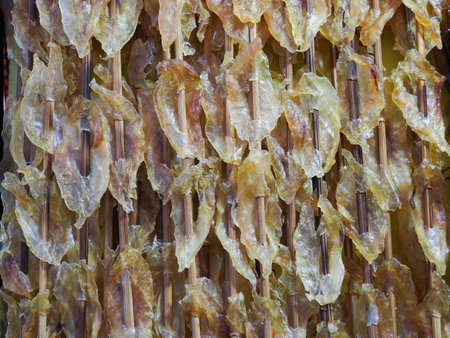 Many Dried squid plugged with bamboo stick selling at street