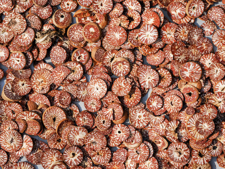 Chinese seasoning, closeup of photo