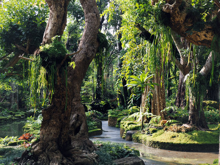 Tropical rainforest. Beautiful natural background.