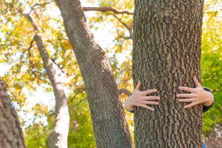 Hugging a tree in the woods. Earth day concept. An old woman hiding in the trunk. Save the planet...