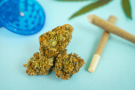 CBD medical marijuana and hemp leaves. Medical cannabis.の写真素材