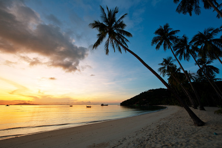 Beautiful sunrise at Beach with palmsの写真素材