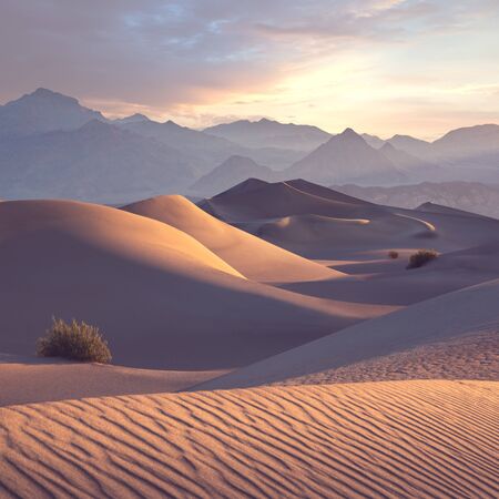Dunes of Death Valley desert at sunrise.の写真素材