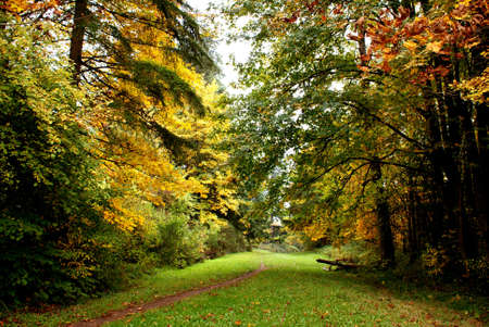 Fall Hike