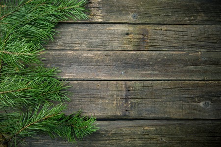 Green fir branches on an old wooden background,の写真素材