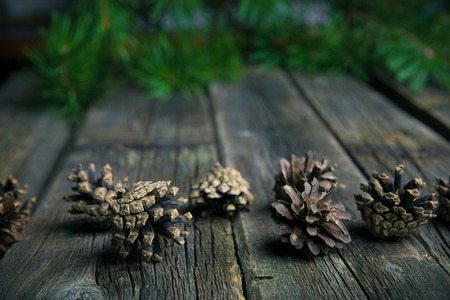 Christmas wooden background with fir tree and pineconesの写真素材