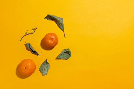 Whole tangerine and dried tree leaves on yellow backgroundの写真素材