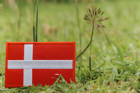 Denmark flag on grass, Handcrafted Danish flag from colorful threads on grass with tiny flowers. Space on right for text or design.の写真素材
