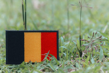 Handcrafted Belgian flag from colorful threads on green grass with tiny flowers. Eco friendly, earth day vibe. Space on the right for text or design.の写真素材