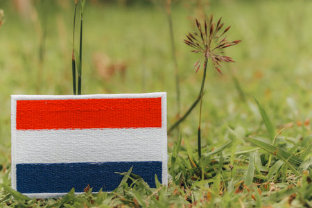Eco friendly Netherlands flag on grass with wildflowers.の写真素材