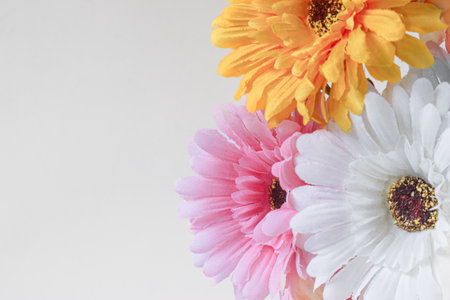 Top view of three fresh gerbera daisies arranged on the right with white background and copy space on the left. Ideal for floral-themed layouts or ads.の写真素材