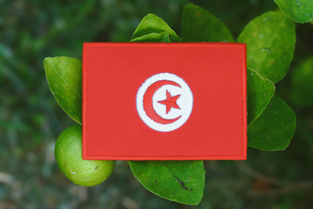 Embroidered Tunisia flag on vibrant lemon leaves with fruit in daylight.
