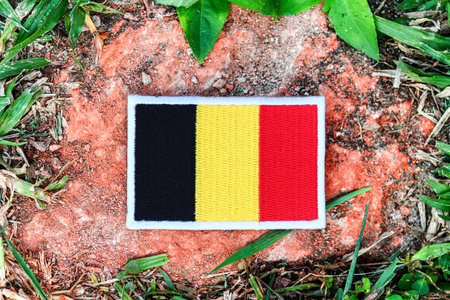 Horizontal photo of Belgium flag embroidered with fabric and thread on mossy stone, surrounded by green leaves. Ideal for eco-tourism, environmental, and nature-based projects.の写真素材