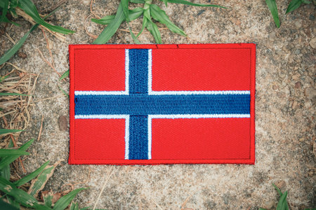 Image of Norwayâs flag on the ground with natural green grass.の写真素材