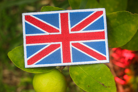 Eco-friendly Union Jack made from cloth and threads, set on a lemon tree. Green leaves and citrus details blend with sunlight for a peaceful, nature-focused theme.の写真素材