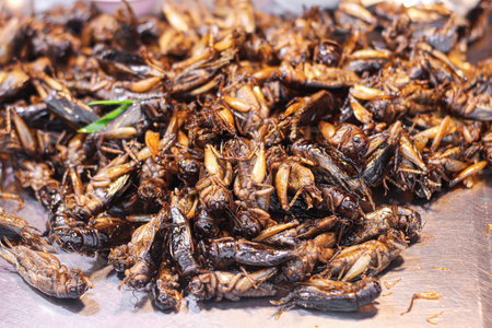 Fried giant crickets served as street food in Thailand. Exotic edible insect, crunchy and nutritious...