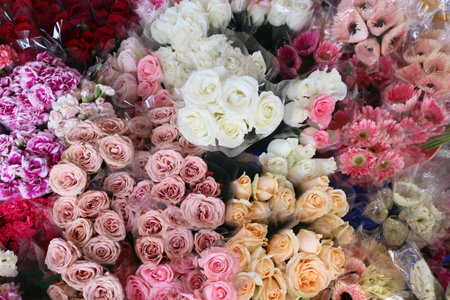 Colorful mixed flower bouquets (Roses, Gerbera Daisies, Carnations) displayed at a flower market. Wrapped to showcase variety and pastel colors for a beautiful gift.の写真素材