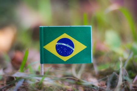Brazil flag in green grass. Symbolizes Amazon and Biodiversity conservation efforts.の写真素材
