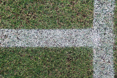 Green grass field center line with crisp white paint marking. Minimal sports texture background for...