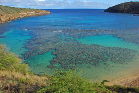 Bird's view of the Hanuma Bay nature reserve, Oahu, Hawaiiの写真素材