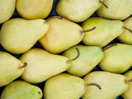 Closeup of fresh yellow pear.の写真素材