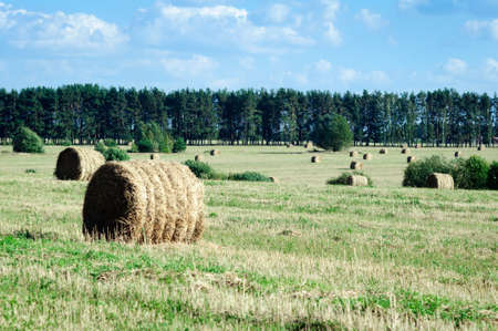 Roll of Haystack on the Field, Republic Mari El, Russia.