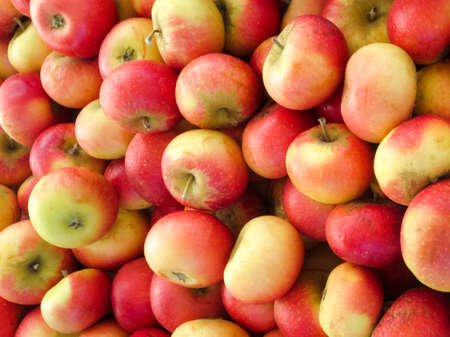 Fresh red yellow apples on the market, background.の写真素材