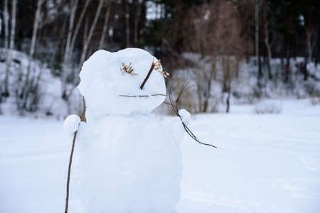 Snowman on the background of a winter forest.